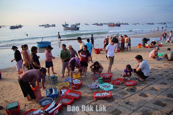 Du lịch trải nghiệm - Từ check-in đến kết nối, lan tỏa