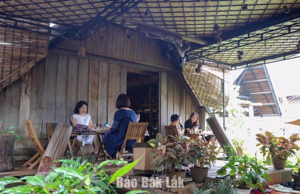 Cà phê Buôn Ma Thuột: Lặng lẽ và lan tỏa