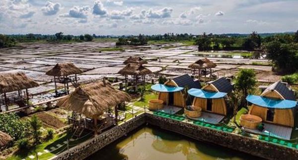 Đưa 3 điểm du lịch nông nghiệp - sinh thái vào hoạt động