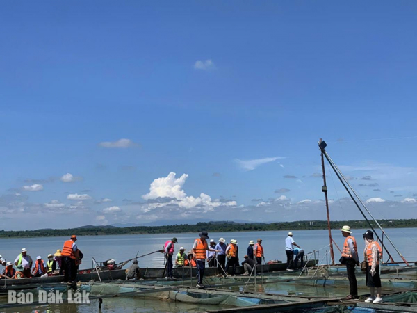Khơi dậy tiềm năng du lịch nông nghiệp, nông thôn