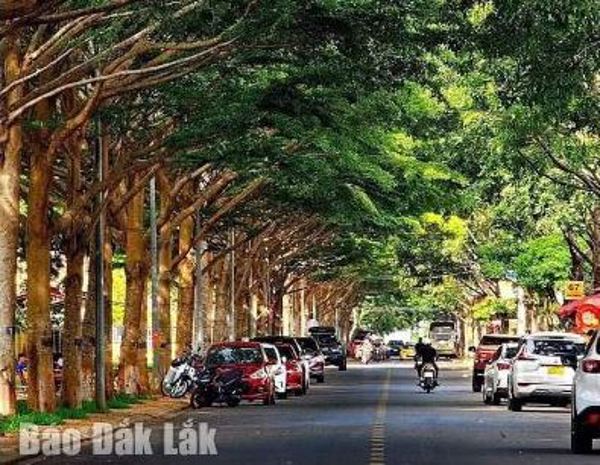 Ðịnh hình đô thị xanh cho Buôn Ma Thuột