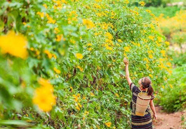 Du lịch Tây Nguyên mùa nào đẹp nhất?